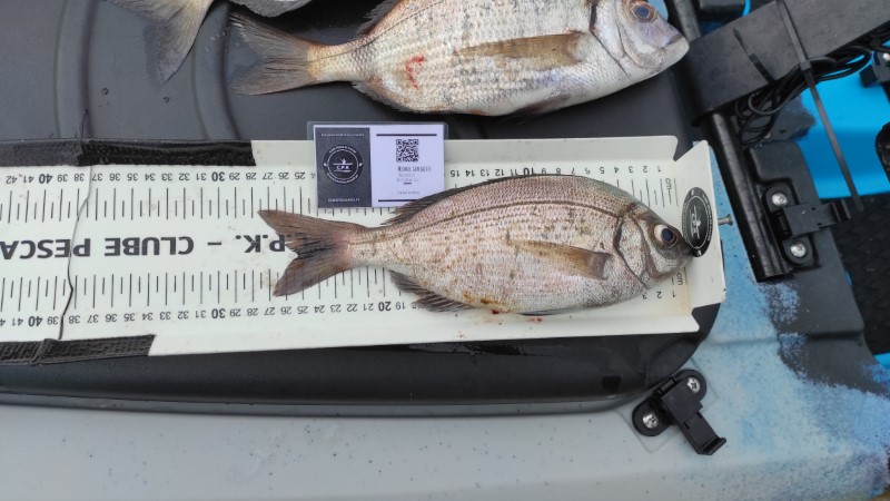 Fish Measure Picture